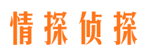 振兴市侦探公司